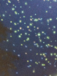 ���[�T��