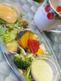 �������v�h���b�V���O�T���_