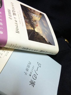 �~���m�̑��z�A�V�`���A�̌�