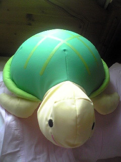 �䂪�Ƃ̃J��������